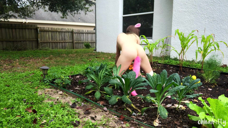 kactus kutie: Kitty Kums dans le Kale