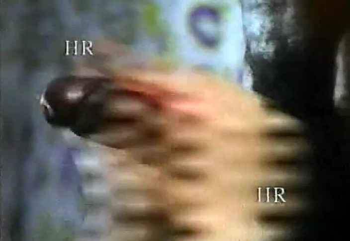 Italian swingers LTG: VHS from italian porn magazine mailed #8 - Dissatisfied Italian women!