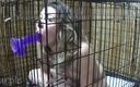 Purple Vayda Official: Morning routine in my cage