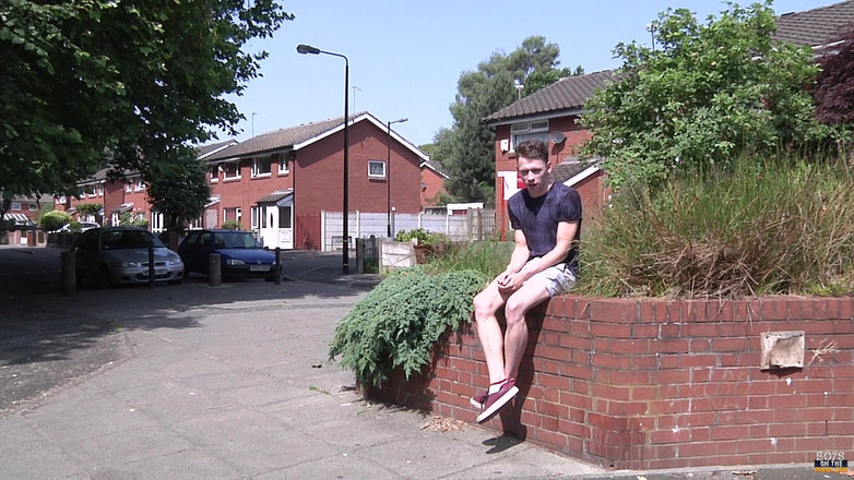 Lust for boys: Tag Teamed in the Back Seat