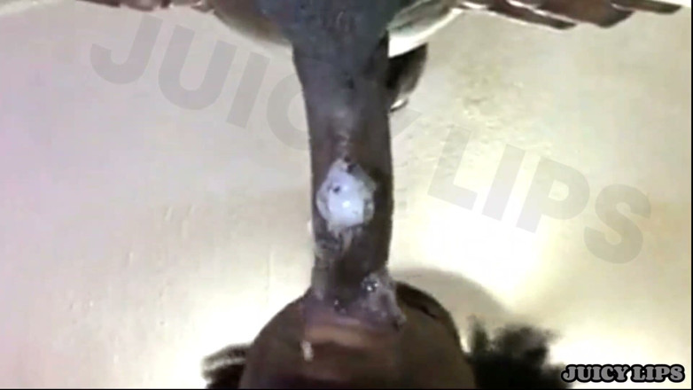Bigmaj414: Juicy Lips-mouth Got so Sloppy Slurping His Dick He Bust...