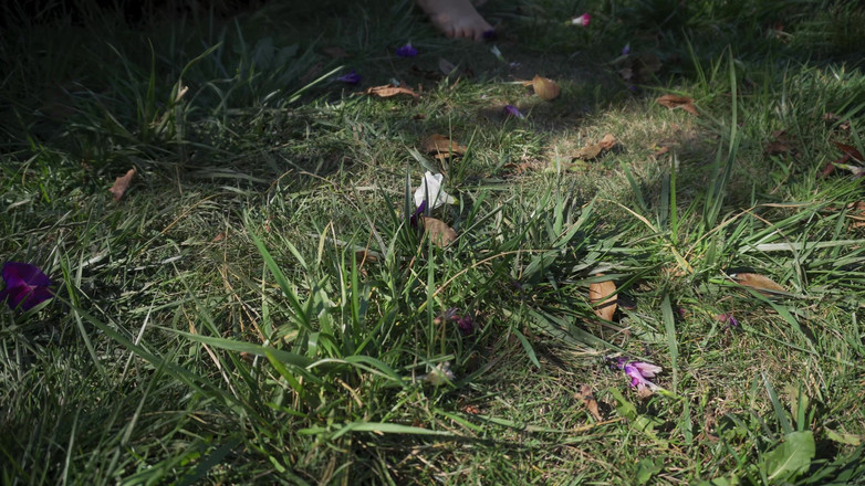 Teasecombo 4K: Давка цветов босиком в траве