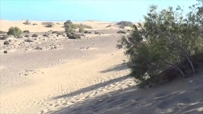 Gaybareback: Bareback sextape on common beach