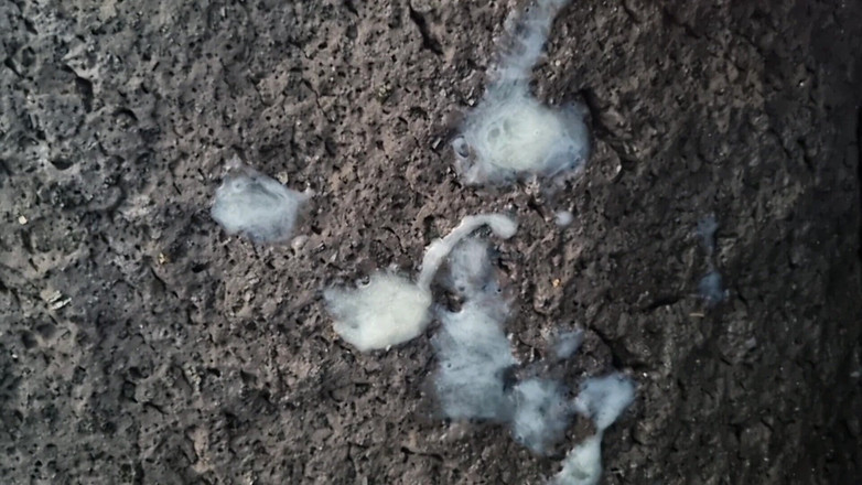 Alexander Audran: 공공 장소에서 아마추어 | 대물 자지로 공개 사정