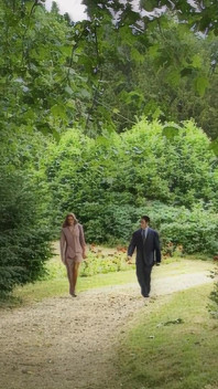 Sex with a Stranger in the Woods