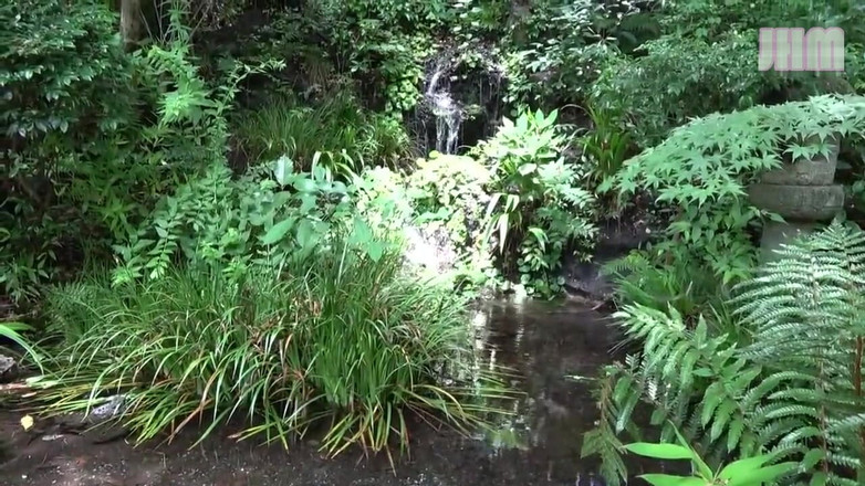 Japanese Hentai Matings: Yasak kaplıca - shiori, 25, evli bir kadın - 1