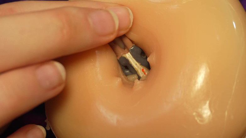 AmayaMori: La sorellastra gigantessa umilia il fratellastro