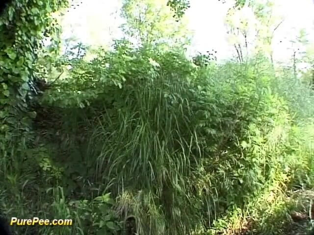 Pure Pee: Kencing luar di tasik