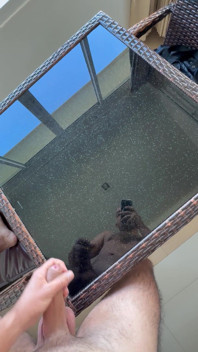 Cum on the Table Before Airbnb Checkout