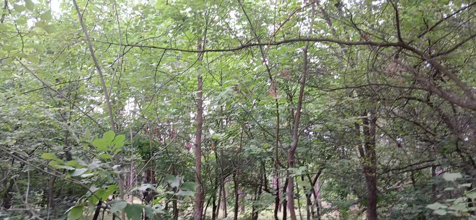 Lesbian-illusion: Our Third Girlfriend Keeps Watch in the Park so No...