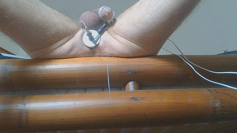 Prostatecumer: Long Edging