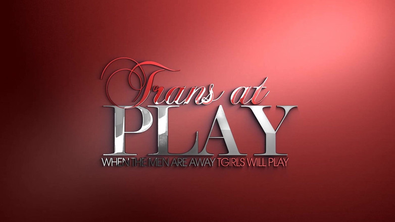 Trans 500: Semua Mengenai Ms.meirelles