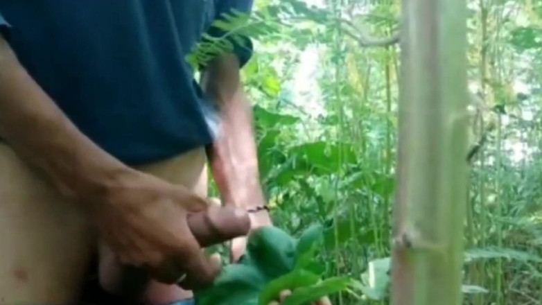 Desimast7: Compilación de corrida completa