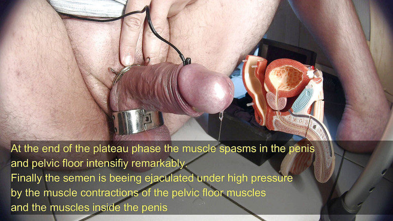 Gaylectrician: पुरुष यौन प्रतिक्रिया ट्यूटोरियल