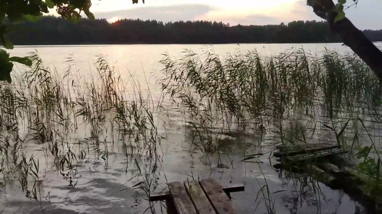 thelazycouple: Stepsister's Ass Filled with My Cum on the Lake