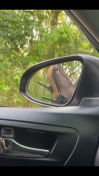 What Would You Like to Do in the Car with Me?