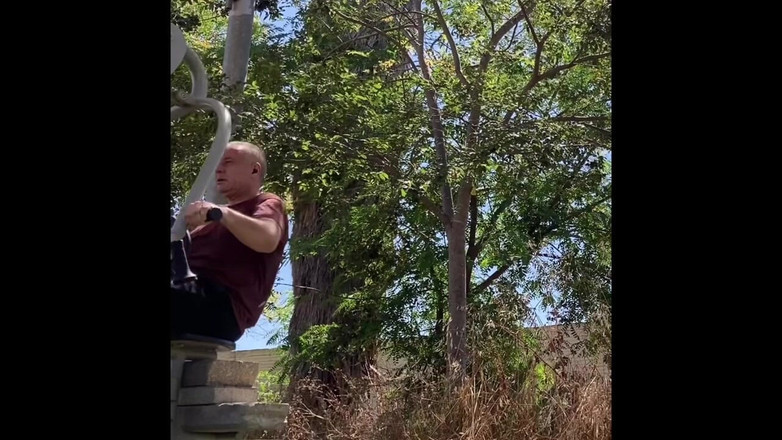 Alex Art: Film764322