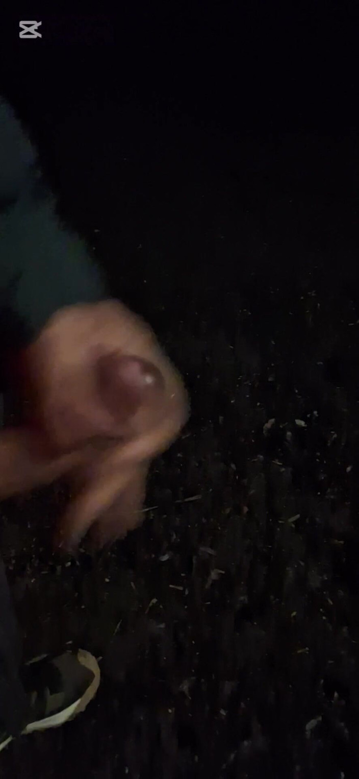 TimiTimy: 외부 공원