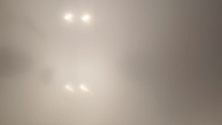 Skin and earth: Urs dolofan cu vedere la persoana 1, de jos. Mormăind și ejaculând...