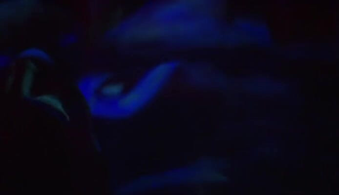 Tight little babes: Weird Alien Lesbian Sex