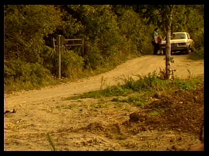 GERMAN PORN CLASSICS: Herzog Video wiener Glut Parte 1 con karin schubert