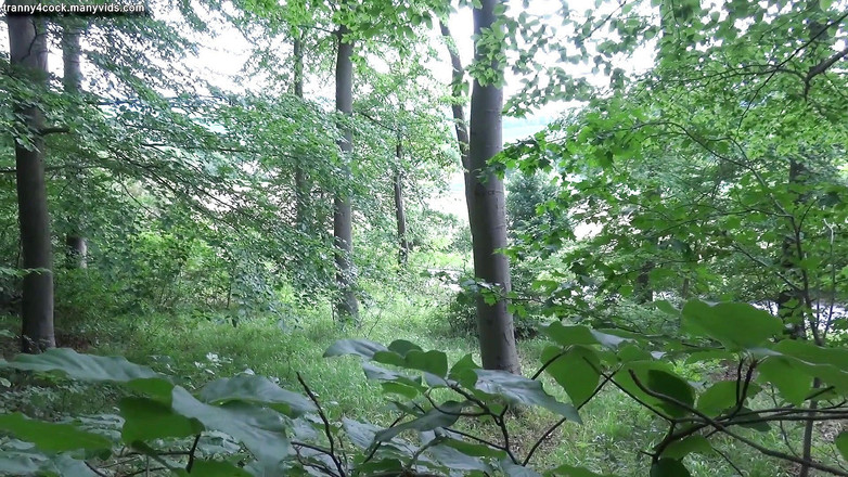 Tranny 4 cock: Dogging, transenschlampe im wald benutzt