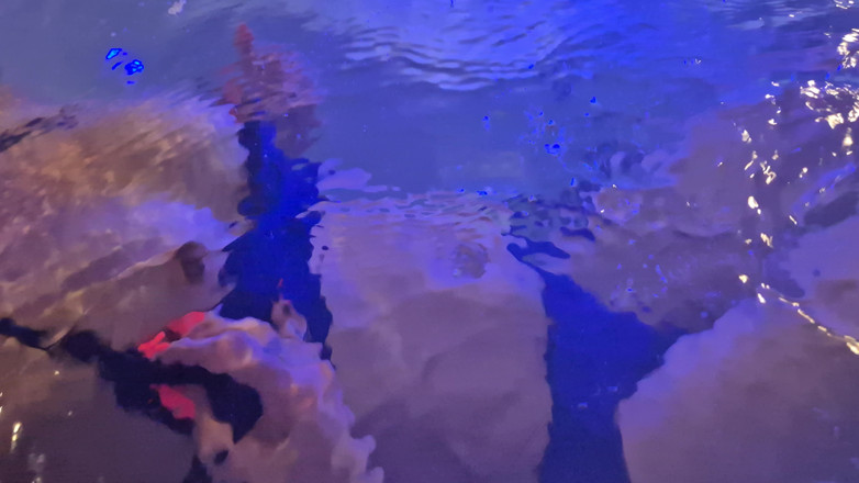 chodasse13: 자쿠지 세션