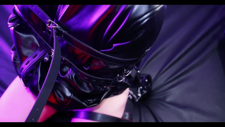 OrangeXXOO: Mascota hembra