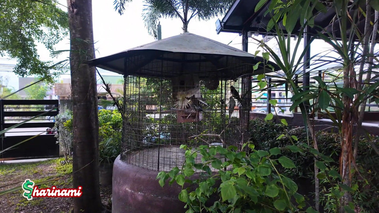 AsianSharinami: She Checked Into a Discreet Apartelle in the Philippines | Hotel...