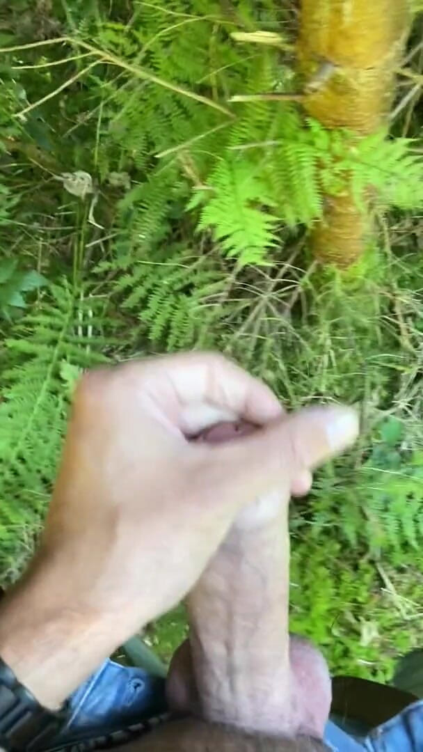 Zaharia: Forest wanki 2