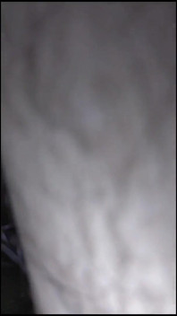 Real Couple Long Sex Video Fucking Hard! Cute Girl Hottexi