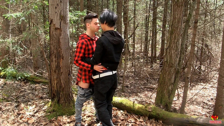 Phoenixxx: Drewno w kabinie Daniel bierze każdy cal