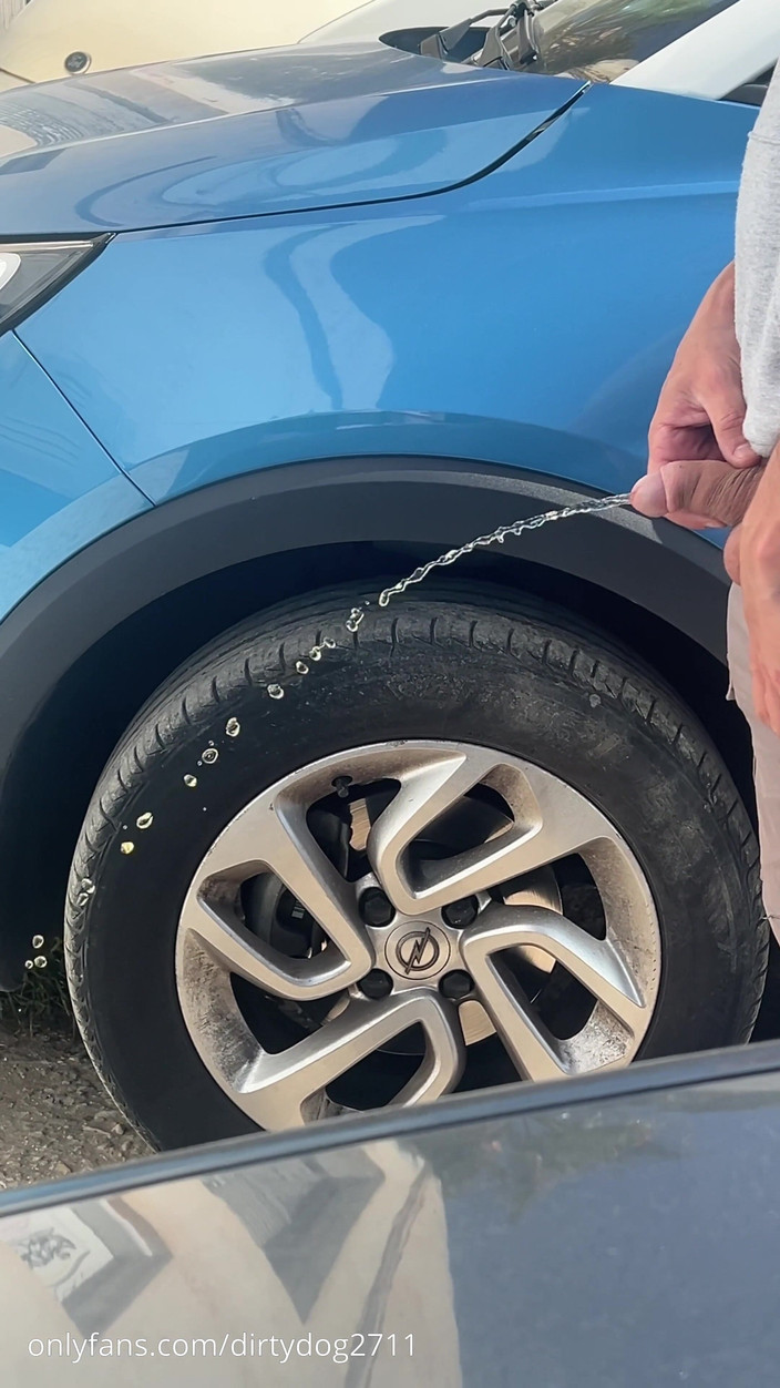 Dirty Dog: Compilation de pipi. 15 minutes de moi en train de pisser...