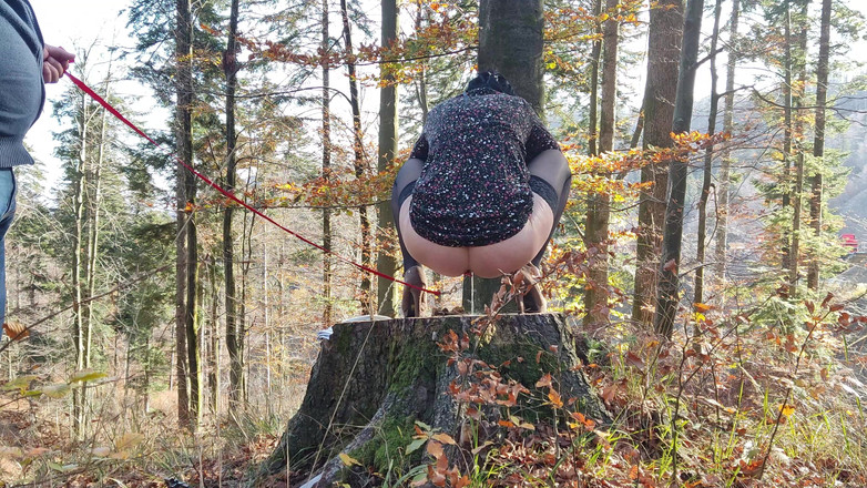 Toilet Mommy: İşemek için çaresiz, açık havada tasmalı götle işemek zorunda