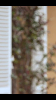 Swame House, French Porno Reality