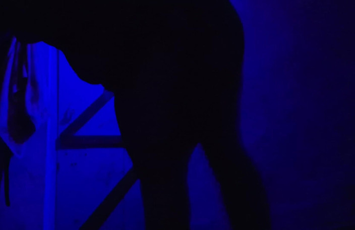 Busty Banuu: Sex XXX Video Desi Girls
