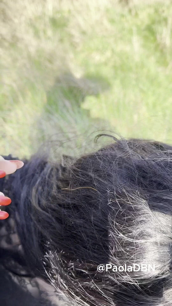 PaolaDbn: Exhib utanför avsugning spermasprut