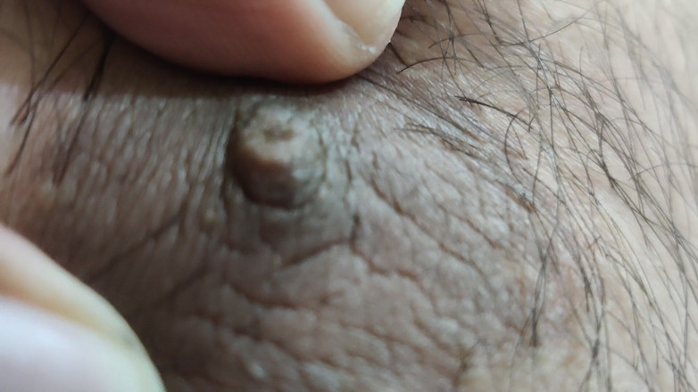 Mysterious island: Noaptea