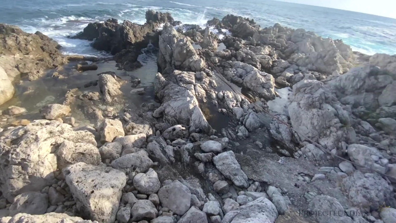 Projectsexdiary: Wild ocean beach sex and cum walk