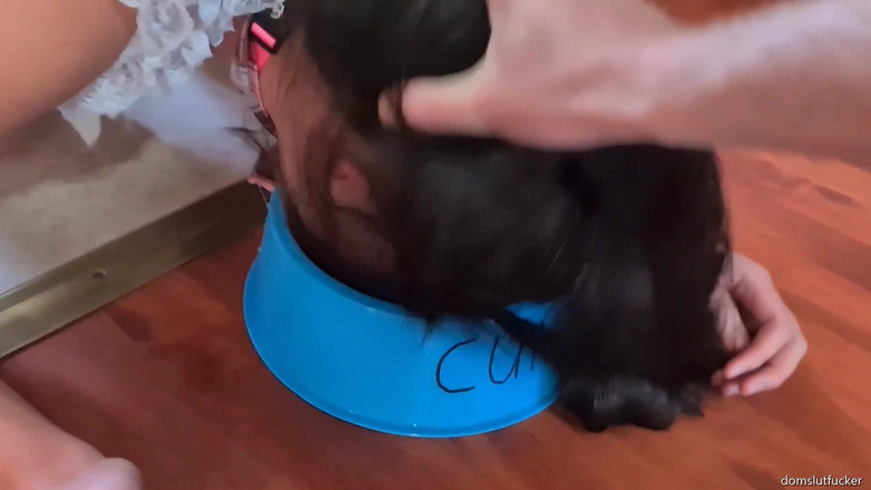 domslutfucker: O curvă cu codițe plimbată cu Lessh Laps up pișat