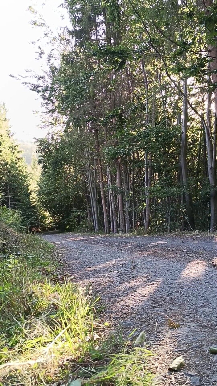 kickerscooter: 滑板车骑乘户外手淫