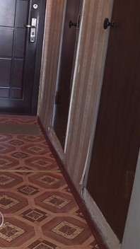 흥분한 bf에게 분석하고 질싸하는 Svelte 십대