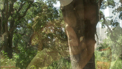 Hot Girlz: Sportliches paar fickt nach dem fahrradtraining auf dem rücksitz