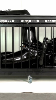 The Cage