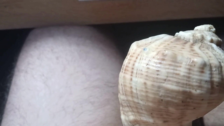 AlexCat: Fairytale About Fucking