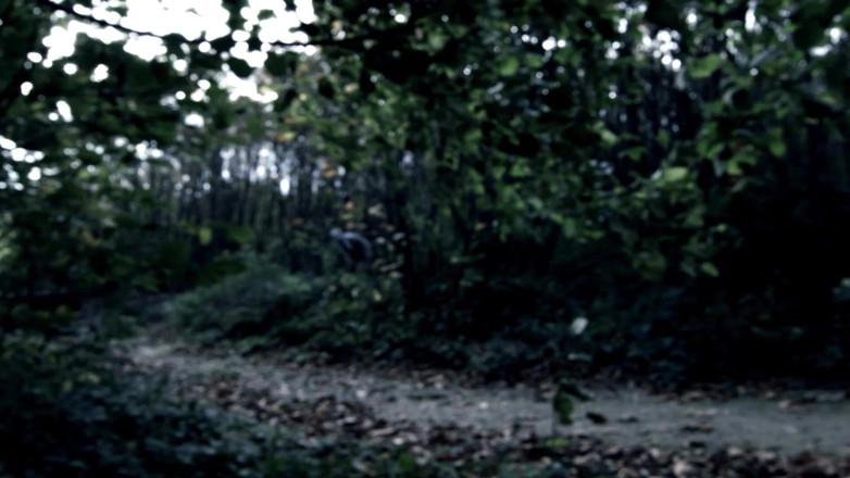 Planete Francaise: Máy bay bà già da đen và bạn thân người Pháp...