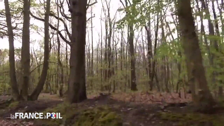 French Gonzo: Pelacur muda yang terangsang mendapat perjalanan kotor dari taksi