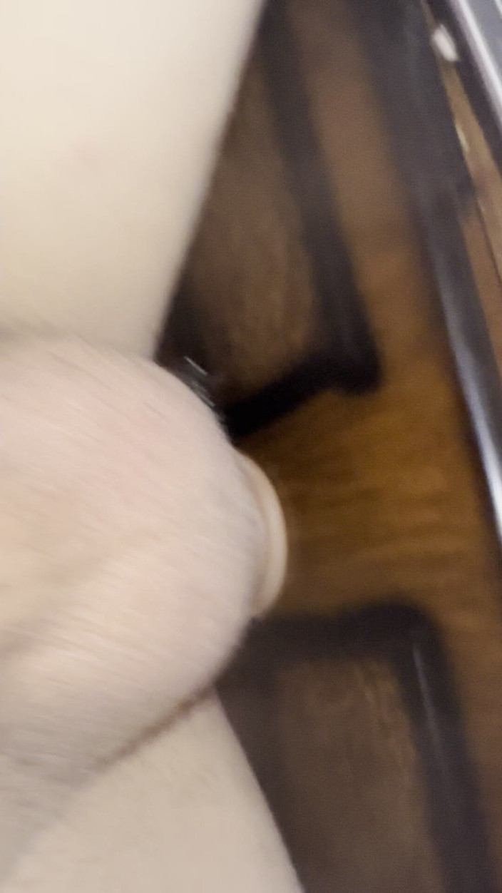 Elpenecurve: Trochu jsem sexy, protože nepřijdeš