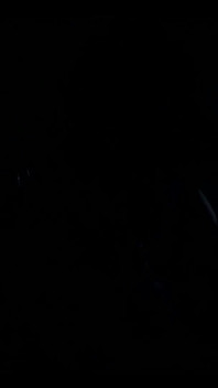 Pamiętny nocny orzech