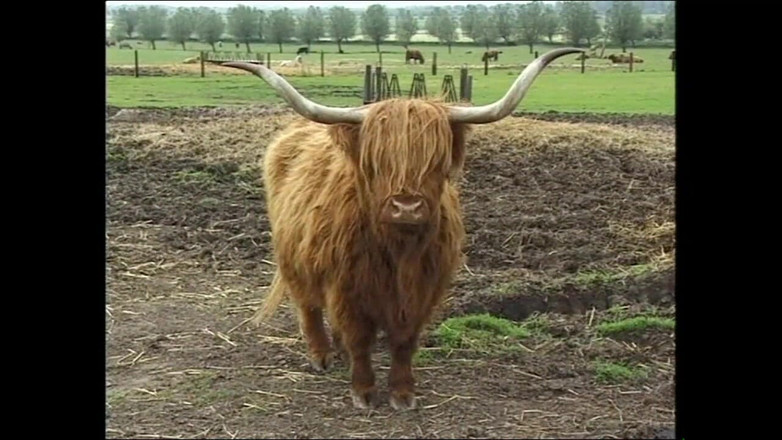 Deutschland porn: Mereka sangat terkejut saat mereka berhubungan seks